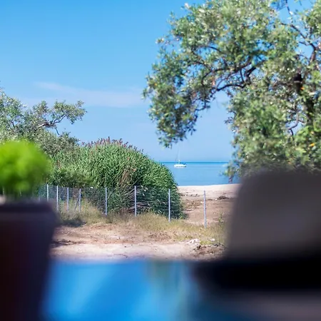 Terra Di Olive Thassos *