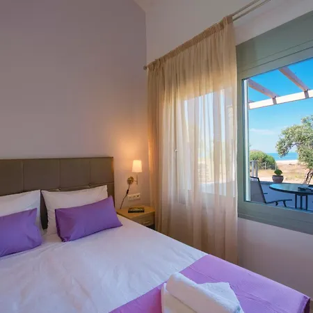 Terra Di Olive Thassos ポトス